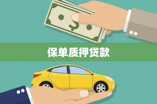 镇安保单质押贷款