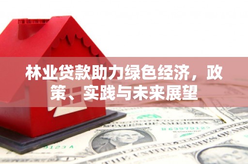 镇安林业贷款助力绿色经济，政策、实践与未来展望