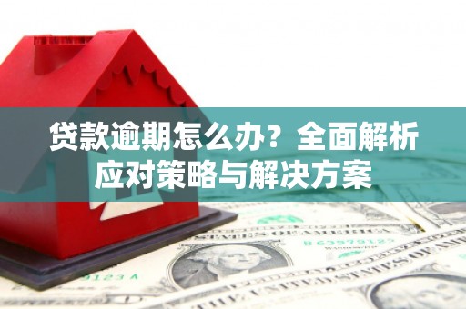 镇安贷款逾期怎么办？全面解析应对策略与解决方案