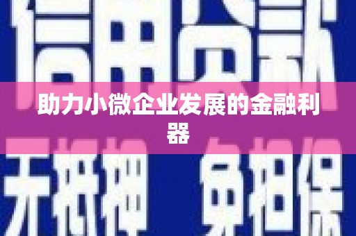 镇安助力小微企业发展的金融利器