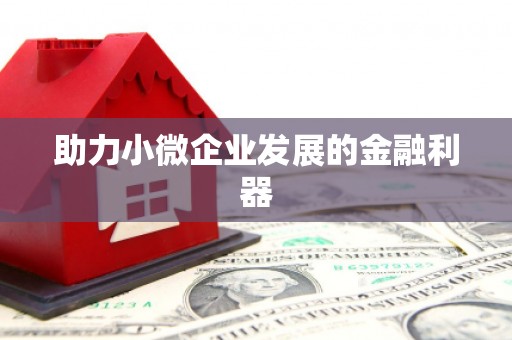 镇安助力小微企业发展的金融利器