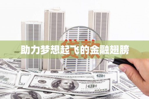 镇安助力梦想起飞的金融翅膀