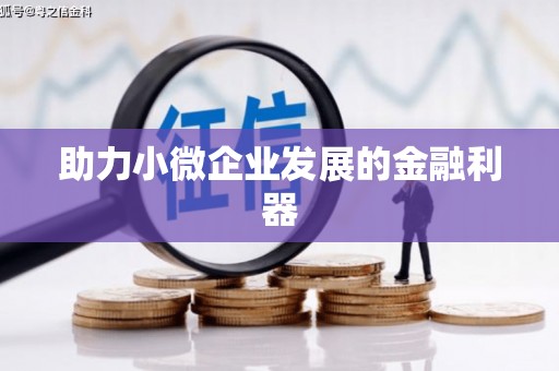 镇安助力小微企业发展的金融利器