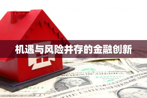 镇安机遇与风险并存的金融创新