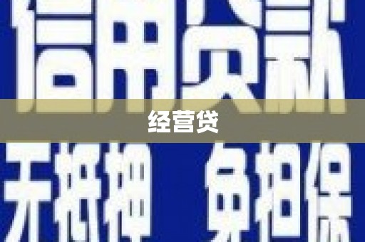 镇安经营贷