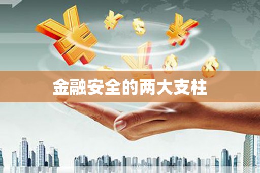 镇安金融安全的两大支柱