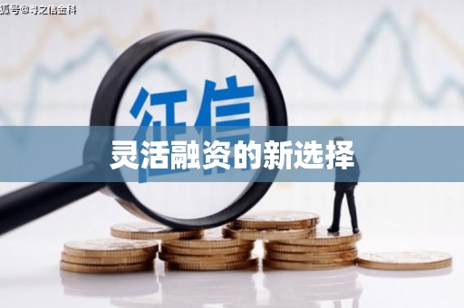 镇安灵活融资的新选择