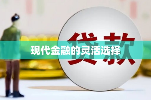 镇安现代金融的灵活选择