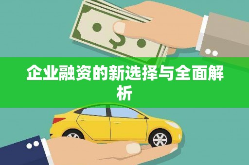 镇安企业融资的新选择与全面解析