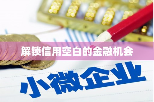 镇安解锁信用空白的金融机会