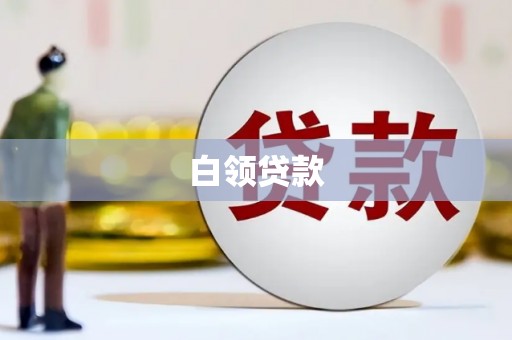 镇安白领贷款