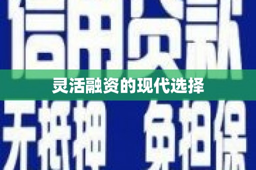 镇安灵活融资的现代选择