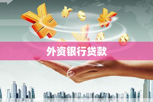 镇安外资银行贷款
