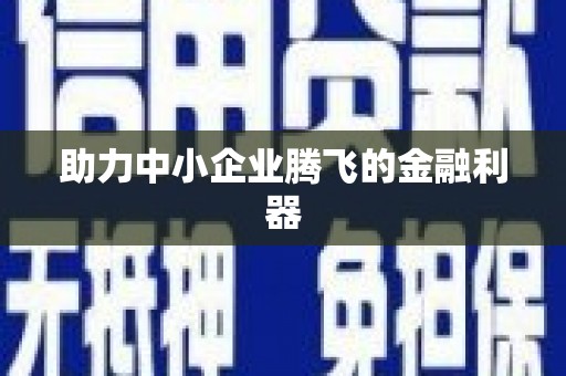 镇安助力中小企业腾飞的金融利器