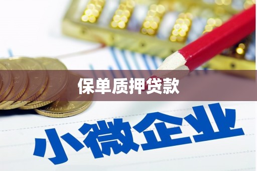 镇安保单质押贷款