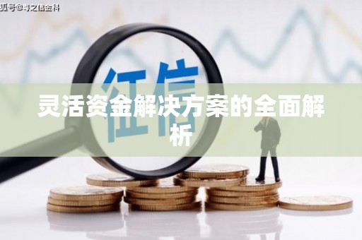 镇安灵活资金解决方案的全面解析