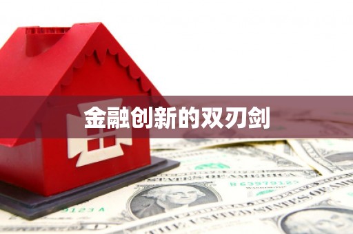 镇安金融创新的双刃剑