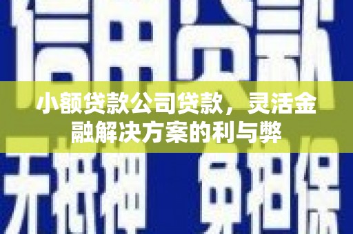 镇安小额贷款公司贷款，灵活金融解决方案的利与弊