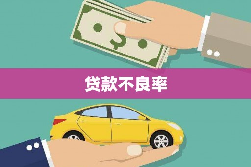 镇安贷款不良率